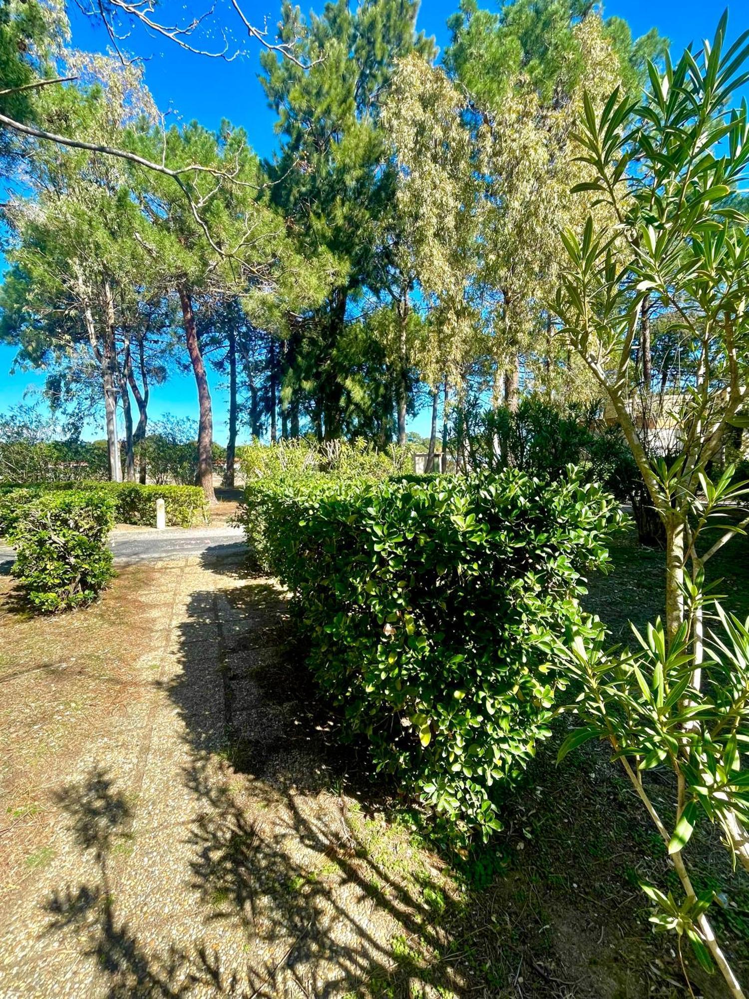 Appart Clim , Wifi, Plage 200 Metres Argelès-sur-Mer Exterior foto