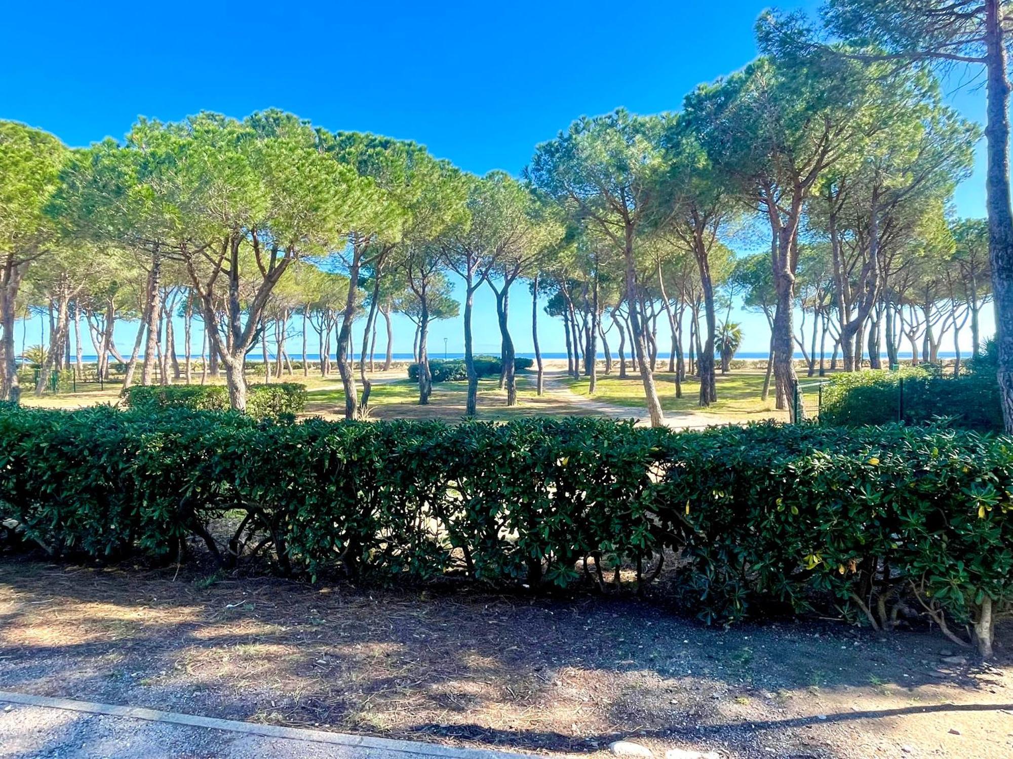 Appart Clim , Wifi, Plage 200 Metres Argelès-sur-Mer Exterior foto